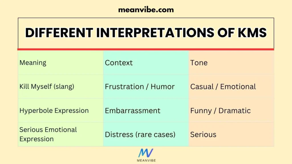 Different Interpretations of KMS