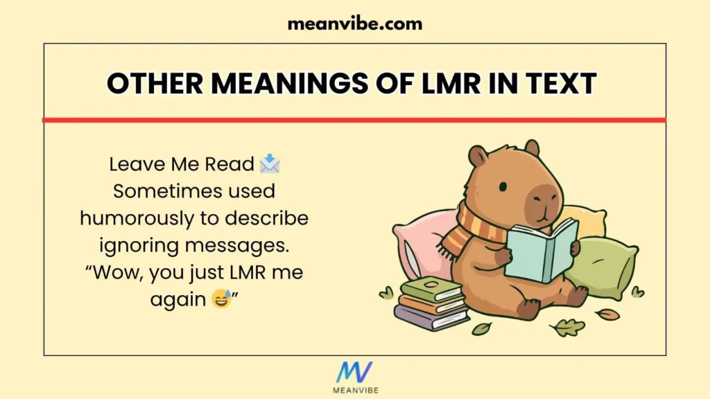 Other Meanings of LMR in Text 