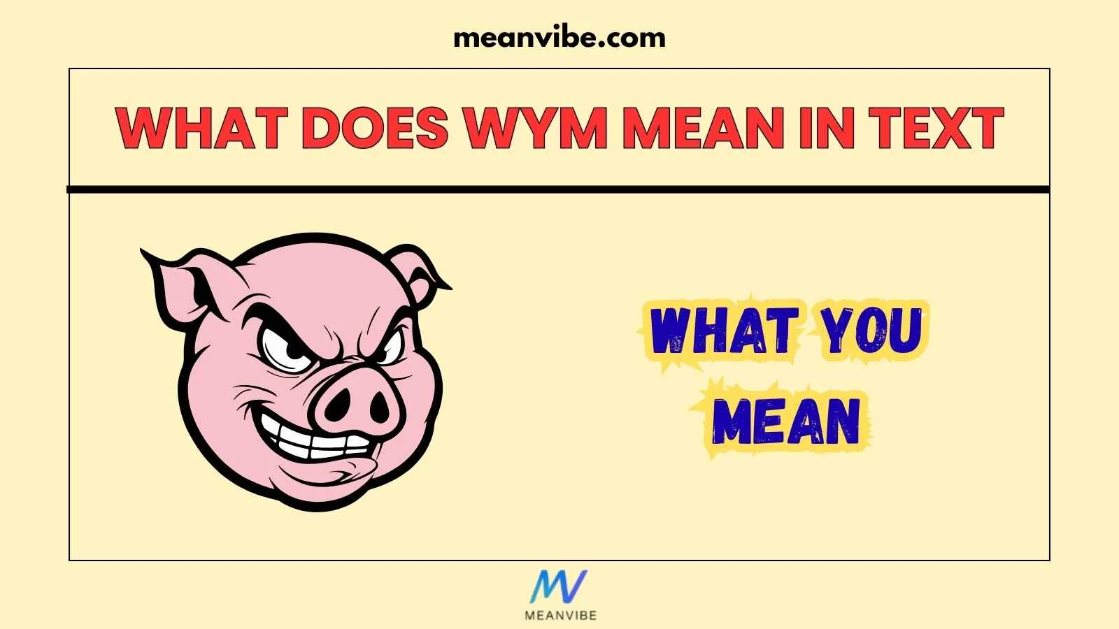 What Does WYM Mean in Text